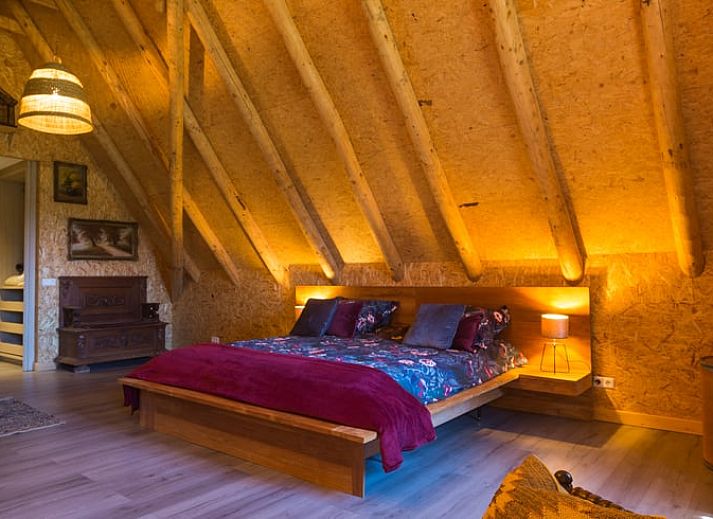 View of the green surroundings of Cottage in Haaksbergen, vacation home in Twente, Overijssel, surrounded by nature and tranquility.