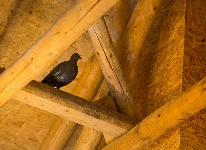 View of the green surroundings of Cottage in Haaksbergen, vacation home in Twente, Overijssel, surrounded by nature and tranquility.
