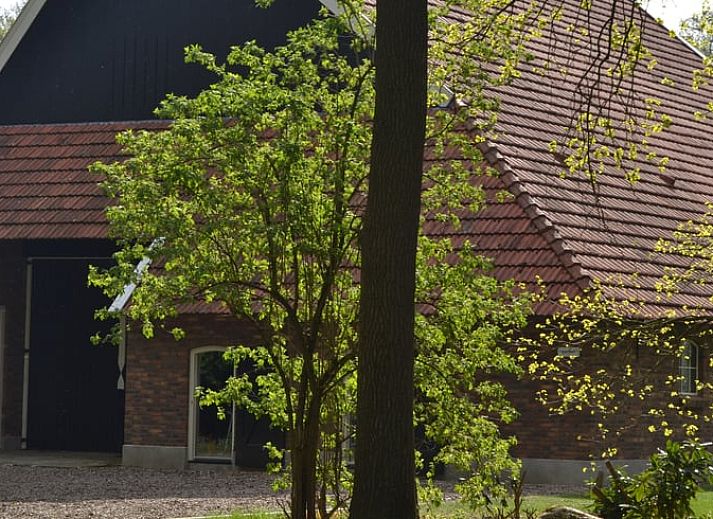 Cozy living room of Huisje in Haaksbergen, vacation home in Twente, Overijssel, with authentic fireplace and comfortable seating area.
