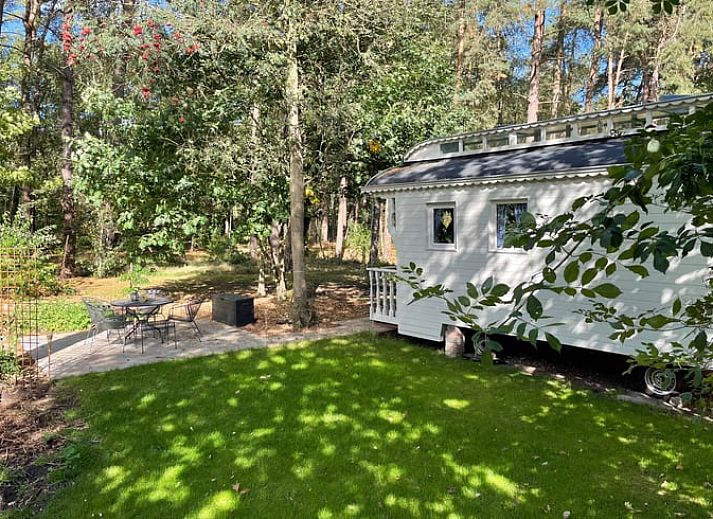 Huisje in Haaksbergen vakantiehuis in Twente, omgeven door groene natuur en terras in Overijssel.