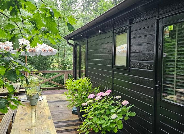 Geniet van de groene omgeving op het terras van Huisje in Haaksbergen, een vakantiehuis in Twente, Overijssel.