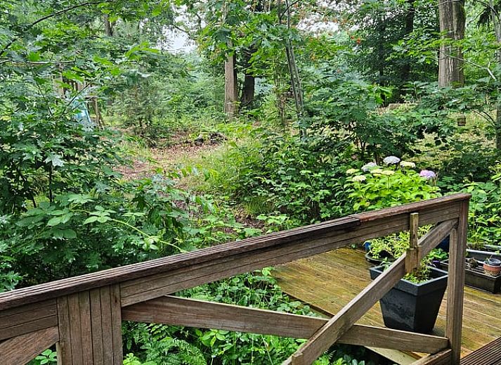 Gezellige veranda van Huisje in Haaksbergen, vakantiehuis in Twente, Overijssel, omringd door groene natuur en comfortabele zitgelegenheid.