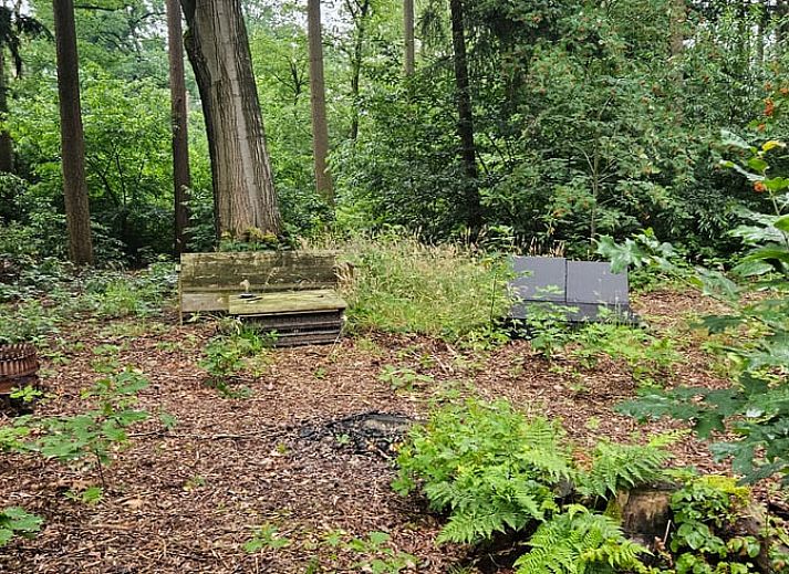 Gezellige veranda van Huisje in Haaksbergen, vakantiehuis in Twente, Overijssel, omringd door groene natuur en comfortabele zitgelegenheid.