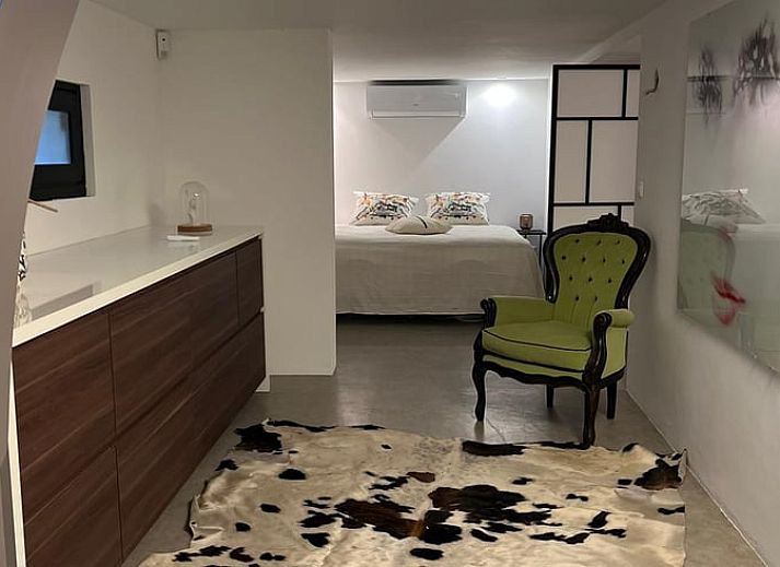 Rustieke omgeving van Huisje in Haaksbergen, vakantiehuis in Twente, Overijssel, met groen landschap en historische watermolen.