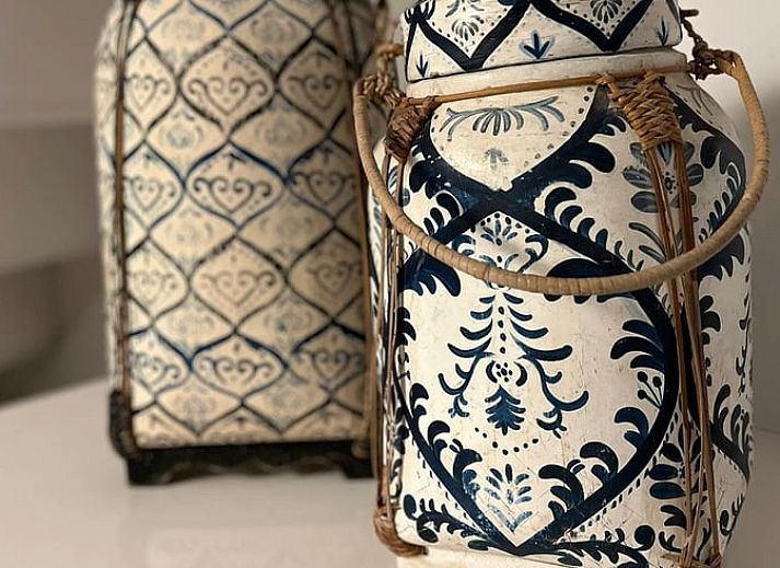 Rustieke omgeving van Huisje in Haaksbergen, vakantiehuis in Twente, Overijssel, met groen landschap en historische watermolen.