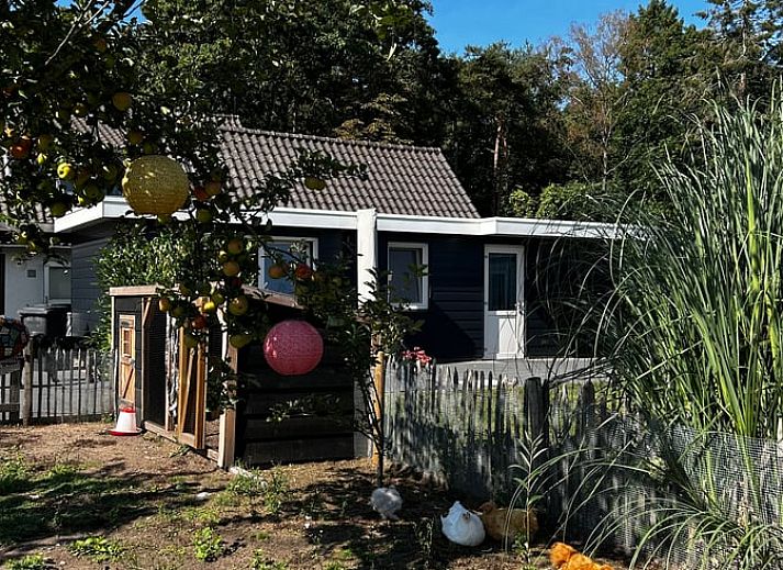 Ferienhaus in Haaksbergen, gelegen im gruenen Twente, Overijssel. Geniessen Sie die ruhige Umgebung und die sonnige Terrasse dieses Ferienhauses.
