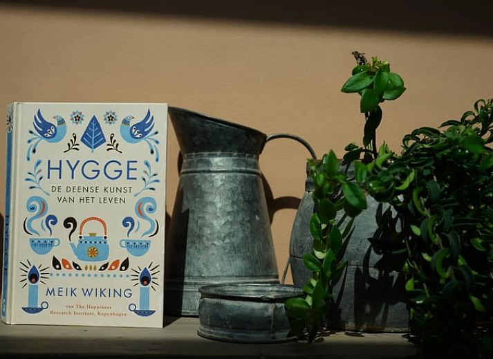 Geniessen Sie die sonnige Terrasse des Ferienhauses in Haaksbergen, gelegen im schoenen Twente, Overijssel.