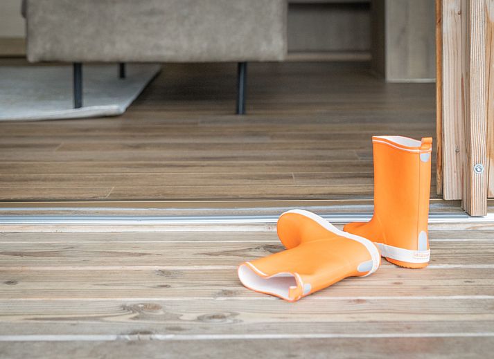 Verblijf 522439 - Vakantiewoning Twente - Welness Luxe lodge