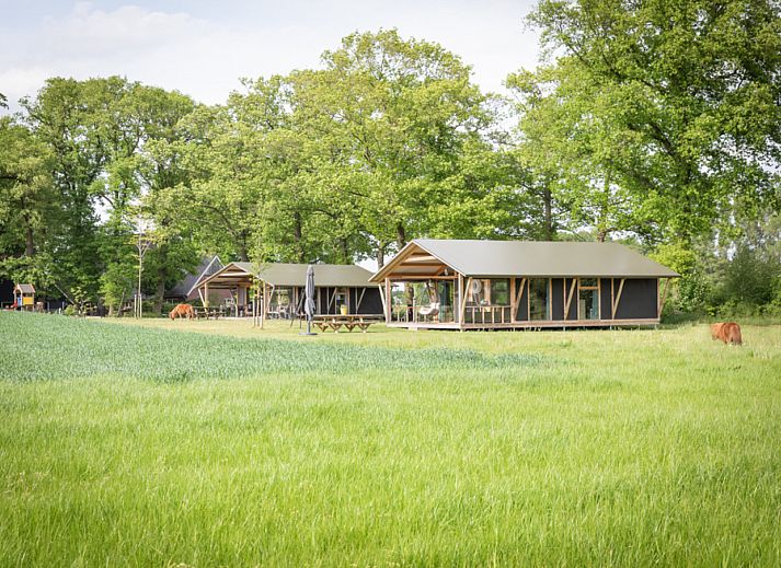 Verblijf 522442 - Vakantiewoning Twente - Luxe lodge