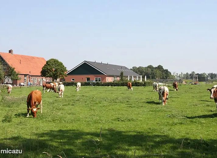 Guest house 522448 - Holiday property Twente - Boerderijappartement De Kastanje