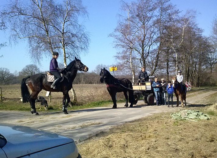 Chalet bij Boerderijcamping De Wezel in Diepenheim, Twente, omgeven door groen en rustieke charme.
