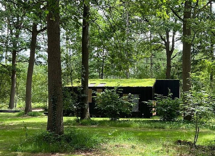 Gemuetlicher Innenraum im Ferienhaus in Diepenheim mit Blick auf die Natur von Twente.
