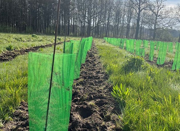 Gemuetlicher Innenraum im Ferienhaus in Diepenheim mit Blick auf die Natur von Twente.