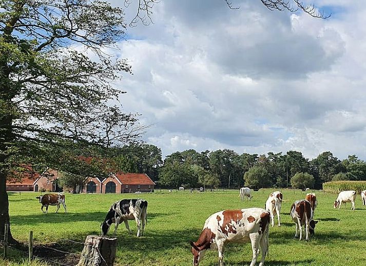 Unterkunft 522505 - Ferienhaus Twente - Huisje in Diepenheim
