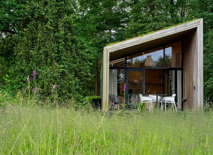 Unterkunft 522509 • Ferienhaus Twente • Vakantiehuis in Diepenheim