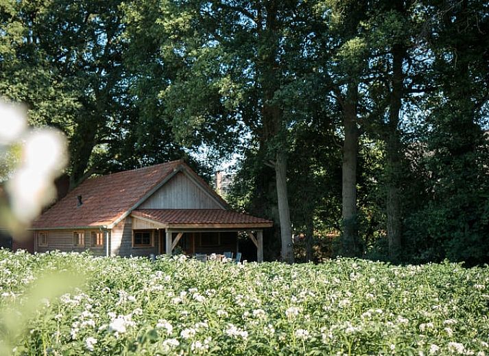 Gezellige veranda van Huisje in Diepenheim, vakantiehuis in Twente, Overijssel, omgeven door natuur met comfortabele zitgelegenheid.
