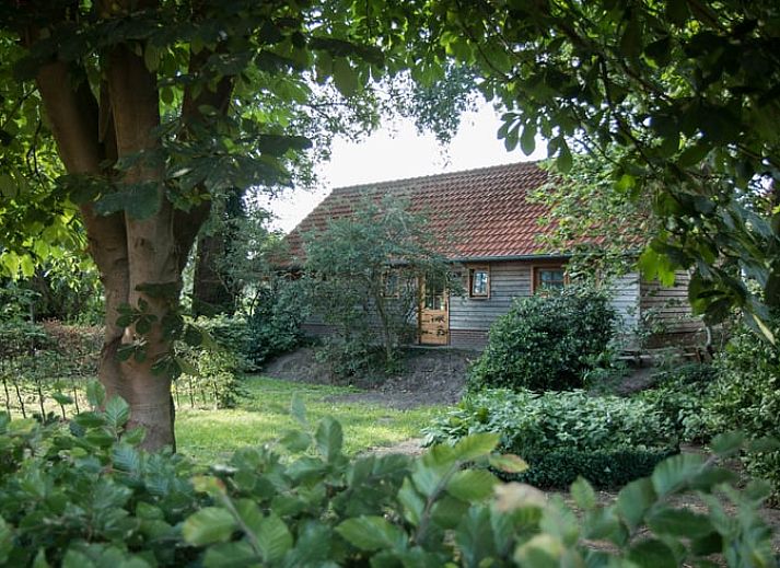 Gezellige veranda van Huisje in Diepenheim, vakantiehuis in Twente, Overijssel, omgeven door natuur met comfortabele zitgelegenheid.