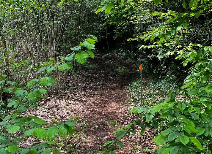 Unterkunft 522512 - Ferienhaus Twente - Vakantiehuis in Diepenheim