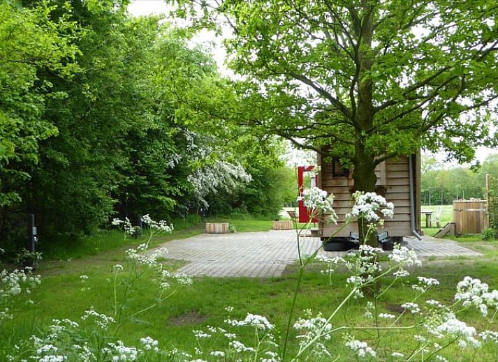 Unterkunft 522512 - Ferienhaus Twente - Vakantiehuis in Diepenheim