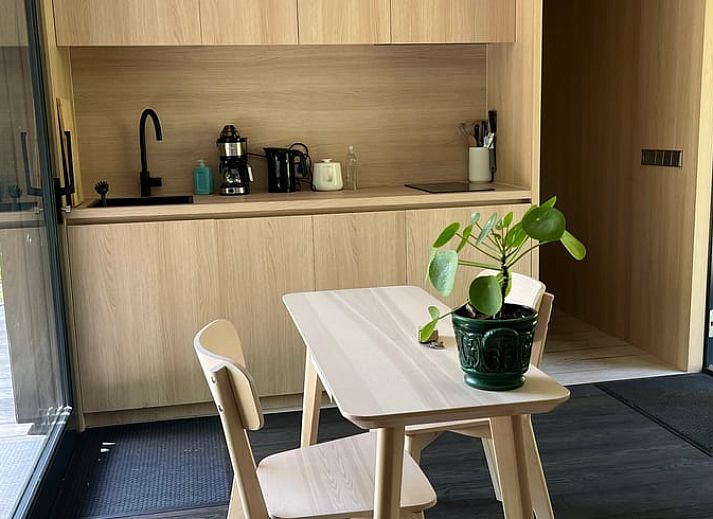 Moderne vakantiewoning Vakantiehuis in Diepenheim, Twente, gelegen in een groene omgeving in Overijssel.