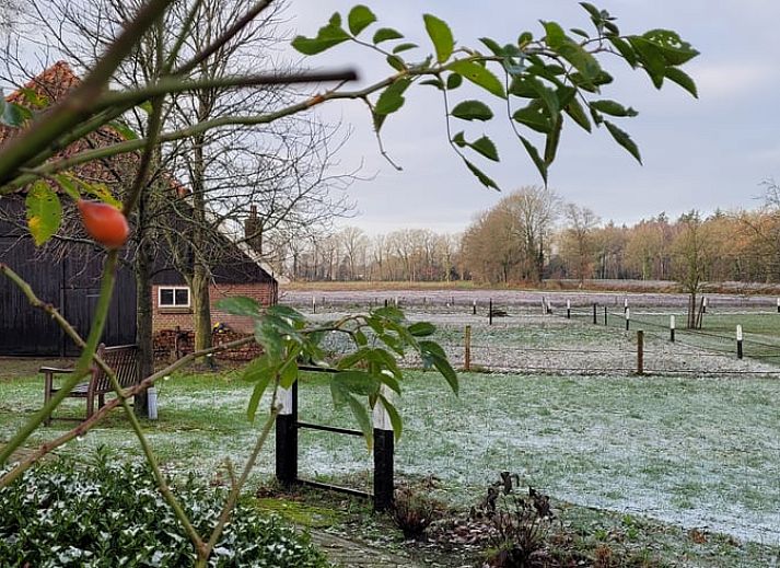 Unterkunft 522520 - Ferienhaus Twente - Huisje in Diepenheim