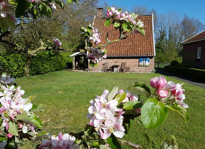 Unterkunft 522520 - Ferienhaus Twente - Huisje in Diepenheim