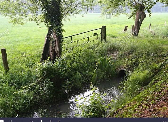 Unterkunft 522520 - Ferienhaus Twente - Huisje in Diepenheim