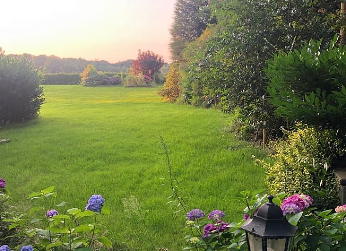 Uitzicht vanuit Huisje in Diepenheim, Twente op kleurrijke herfsttuin met laptop op vensterbank.