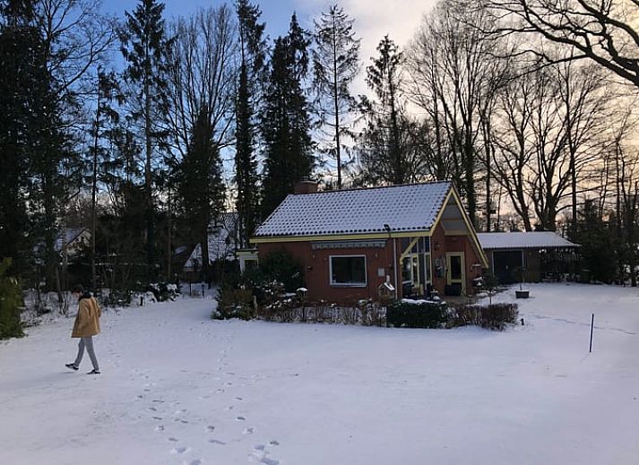 Uitzicht vanuit Huisje in Diepenheim, Twente op kleurrijke herfsttuin met laptop op vensterbank.