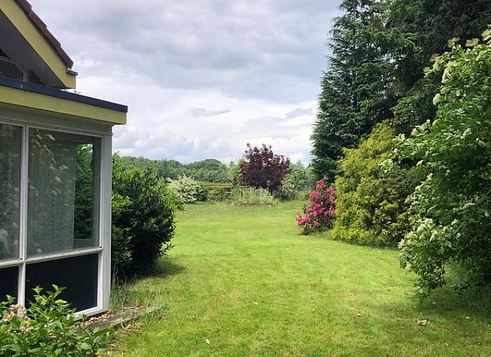 Zomerse tuin van Huisje in Diepenheim, vakantiehuis in Twente met terras en kleurrijke bloemen.