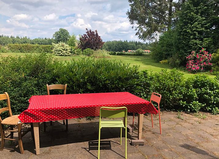 Zomerse tuin van Huisje in Diepenheim, vakantiehuis in Twente met terras en kleurrijke bloemen.
