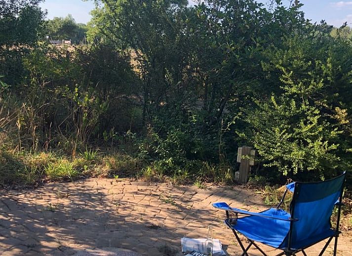 Groene tuin van Huisje in Diepenheim, vakantieverblijf in Twente met bloeiende hortensia's.