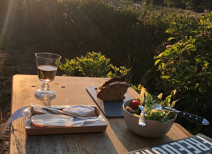 Groene tuin van Huisje in Diepenheim, vakantieverblijf in Twente met bloeiende hortensia's.