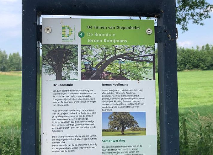 Groene tuin van Huisje in Diepenheim, vakantieverblijf in Twente met bloeiende hortensia's.