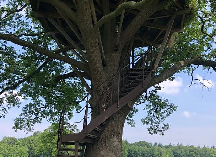 Groene tuin van Huisje in Diepenheim, vakantieverblijf in Twente met bloeiende hortensia's.