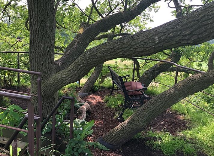 Sneeuwlandschap rond Huisje in Diepenheim, vakantiehuis in Twente omringd door bomen.