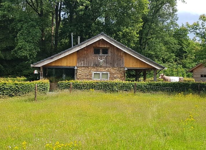 Guest house 522619 • Holiday property Twente • Huisje in Enschede