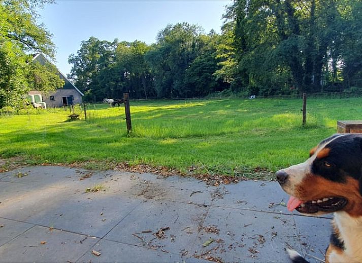 Unterkunft 522621 - Ferienhaus Twente - Vakantiehuisje in Enschede