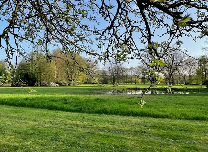 Gemuetliche Veranda des Ferienhauses in Enschede, Twente, mit Sitzgelegenheiten und Blumen in Overijssel.