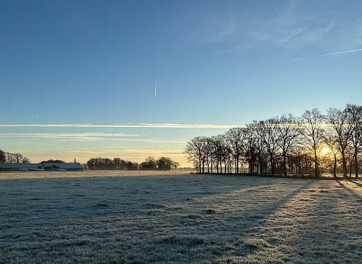 Cozy cottage in Enschede with spacious garden in Twente, Overijssel.