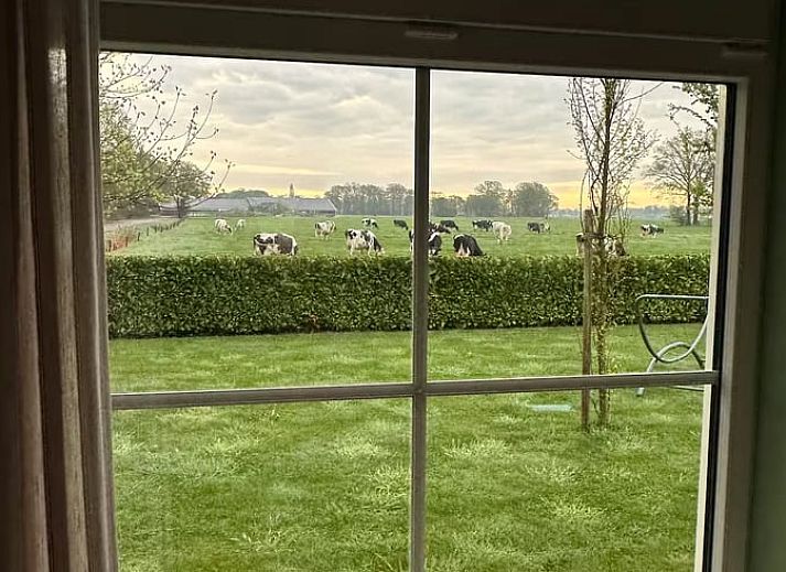 Driveway to the cottage in Enschede, located in green Twente.