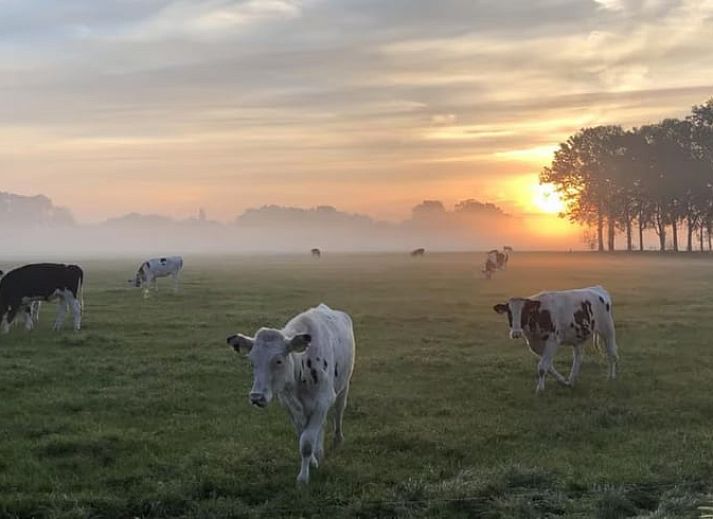 Stylish living room in Holiday home in Enschede, perfect for relaxation.