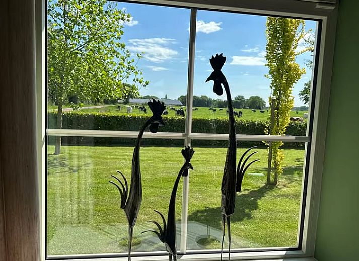 Bright interior with large windows in the cottage in Enschede, Twente.