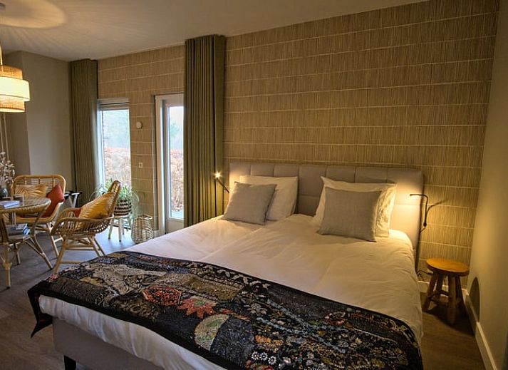 Gezellige zijtuin van Vakantiehuis in Oldenzaal, Twente, met bloeiende hortensia's en een uitnodigend pad.