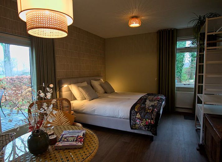 Gezellige zijtuin van Vakantiehuis in Oldenzaal, Twente, met bloeiende hortensia's en een uitnodigend pad.