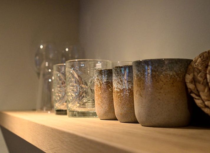 Gezellige zijtuin van Vakantiehuis in Oldenzaal, Twente, met bloeiende hortensia's en een uitnodigend pad.