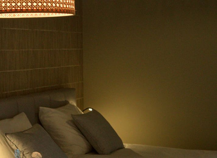 Hangende bloemenmanden en kleurrijke bloemen bij Vakantiehuis in Oldenzaal, een rustiek verblijf in Twente.