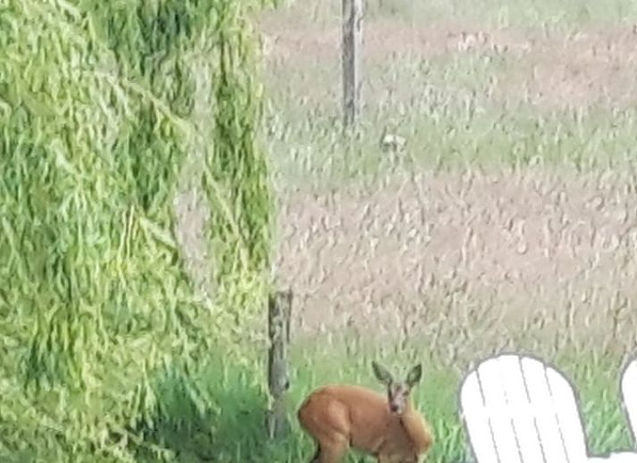 Moderne Kueche im Ferienhaus in Oldenzaal, komplett ausgestattet fuer einen komfortablen Aufenthalt.