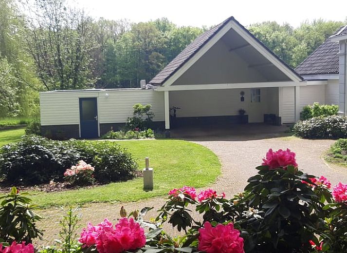 Gemuetliches Wohnzimmer im Haus in Oldenzaal, Ferienhaus in Twente, mit viel natuerlichem Licht.