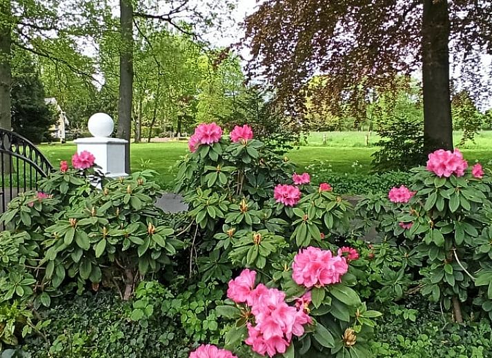 Gemuetliches Wohnzimmer im Haus in Oldenzaal, Ferienhaus in Twente, mit viel natuerlichem Licht.